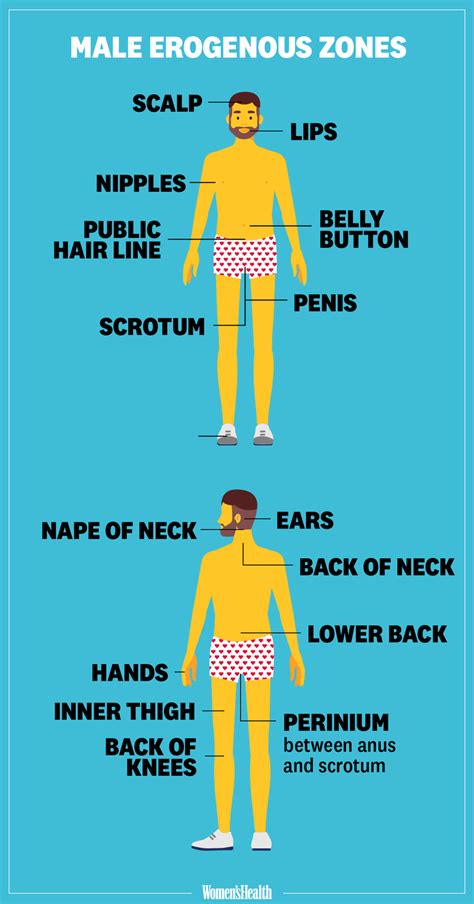 erogene zone man|Erogenous Zones: Head